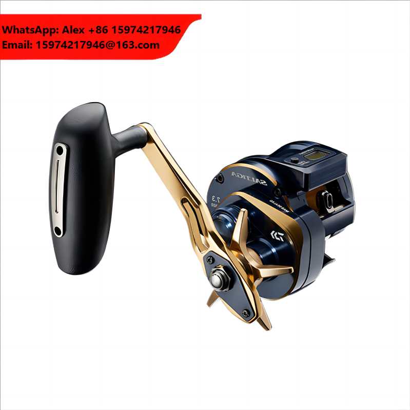 21 Japanische DAIWA Daiwa SALT – Electric Reel Bewertung und Preis