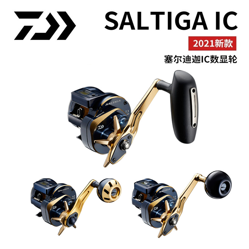 21 Japanische DAIWA Daiwa SALT – Electric Reel Bewertung und Preis