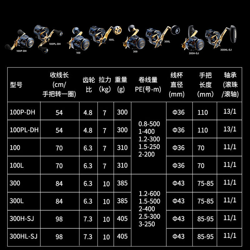 21 Japanische DAIWA Daiwa SALT – Electric Reel Bewertung und Preis